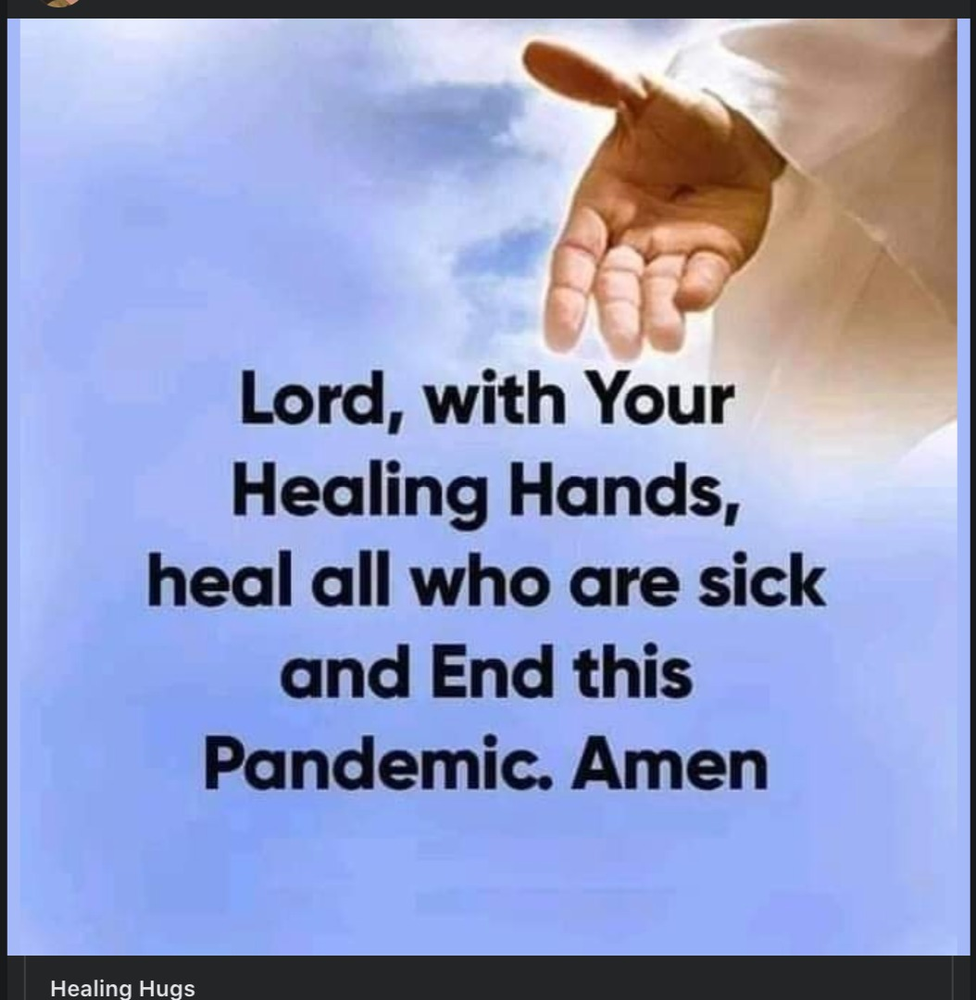 Meme Ended Pandemic!